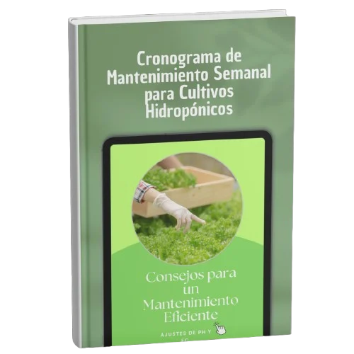 Cronograma de mantenimiento